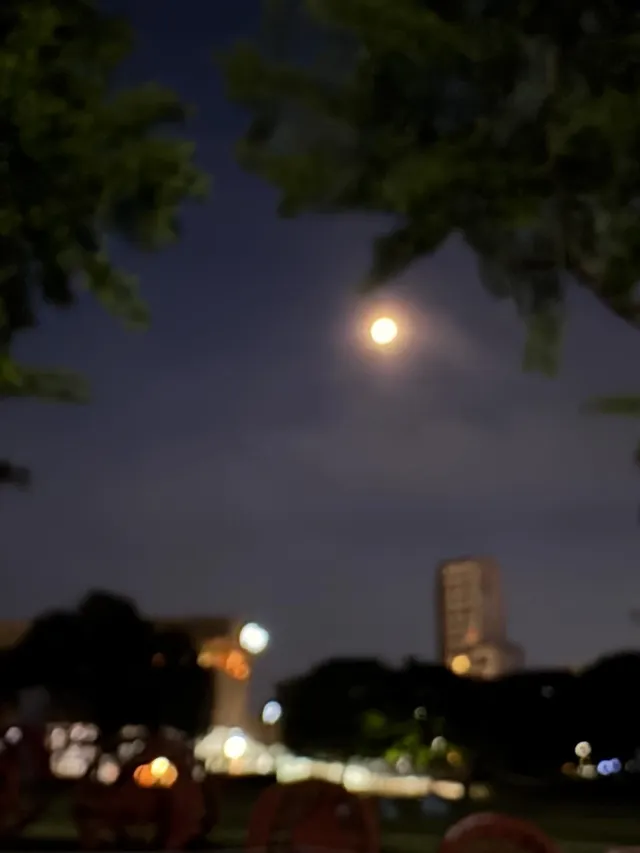 오늘 올림픽공원 가는 도중 가게 마감이라 차 빼달라는 전화를 받고 5분 코 앞에 두고 다시 돌아왔다. 아이가 5시간의 장거리 너무 피곤해해서 어