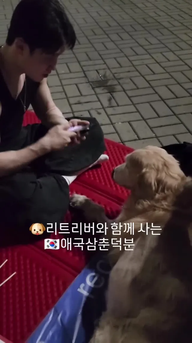 #몽비똥 #63잠실민주화항쟁 #골든리트리버