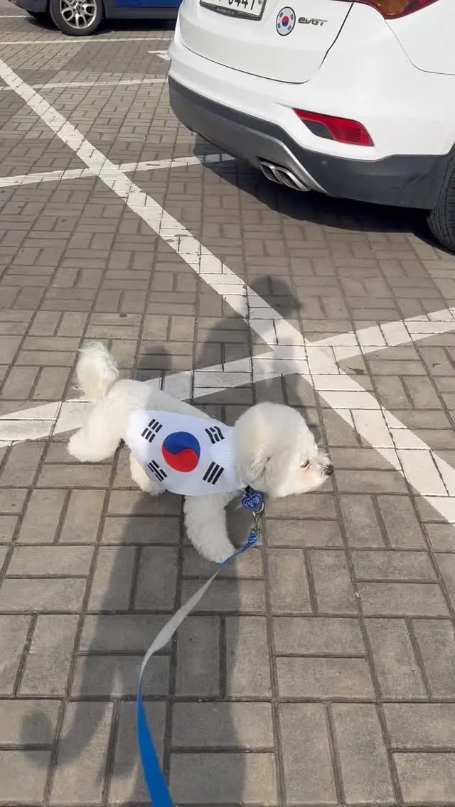 나 애국 가나디 🐶 올공루틴 일단 도착하면 짱짱한 목청으로 한시간정도 부정선거 🔥재선거🔥큰소리로 외치고 🎶  나서  물한병 들구 목을 축