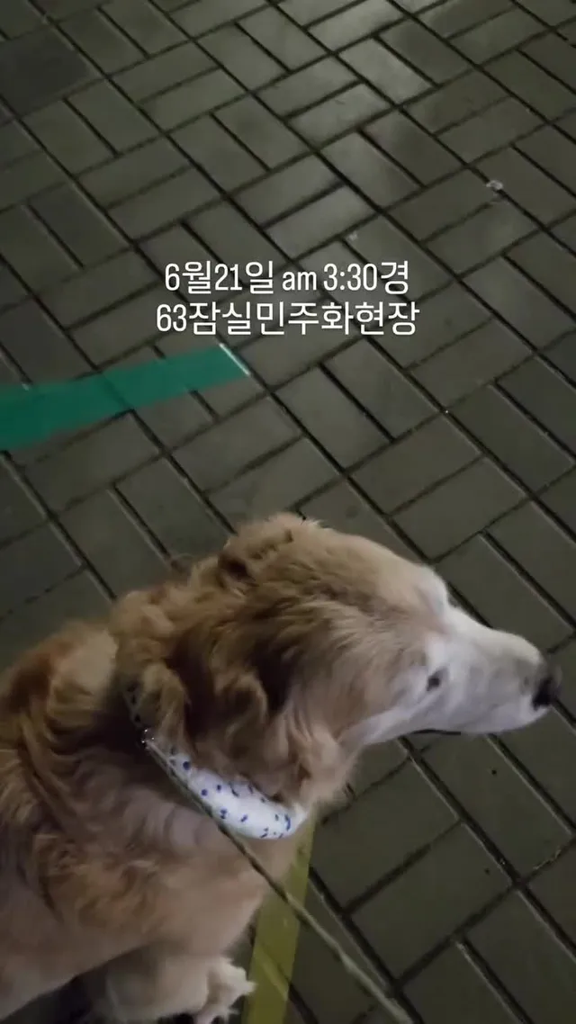 #몽비똥 #63잠실민주화항쟁