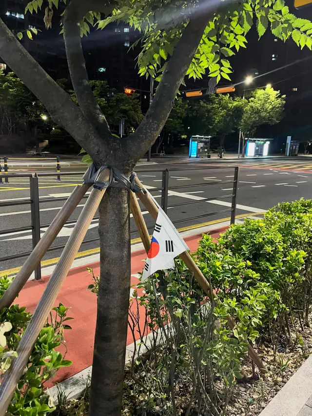 올공 다녀온 몇몇 사람들, 이건 정말 아니지 않냐
미꾸라지 몇마리가 맑은 물 흐린다고
너네 태극기 집에 가지고 갈 자신 없으면
받은 태극기 반납