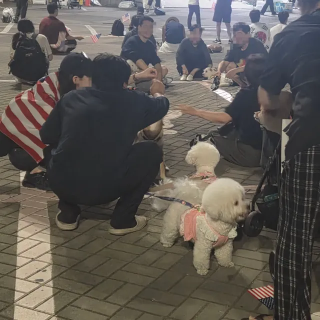 06.27 늦었지만 새벽에 갔다오기 성공

가나디들 너무 귀여워,,

혼자 애국가 타이밍 모르고 구호 외치다가 뻘쭘해짐,,,내향IIIIIIII)