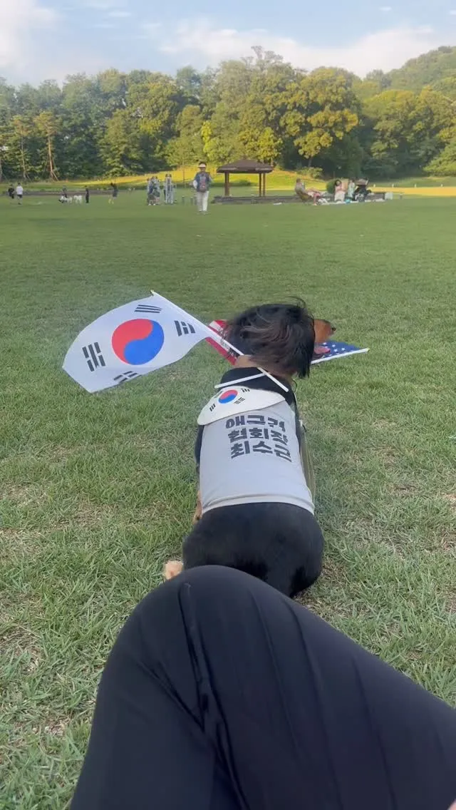 애국견 부정선거 외치러 천안집회 나왔습니다!
다들 많이 모여주세요 🙏🏻
