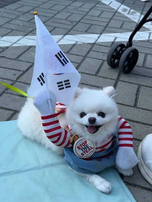퇴원 후 바로 올공에 다녀왔습니다.

초반에 비해 2,30대 연령층보다 60대 어르신들이 더 많다고 느껴지는 하루였습니다…라면을 먹기 위해 기다