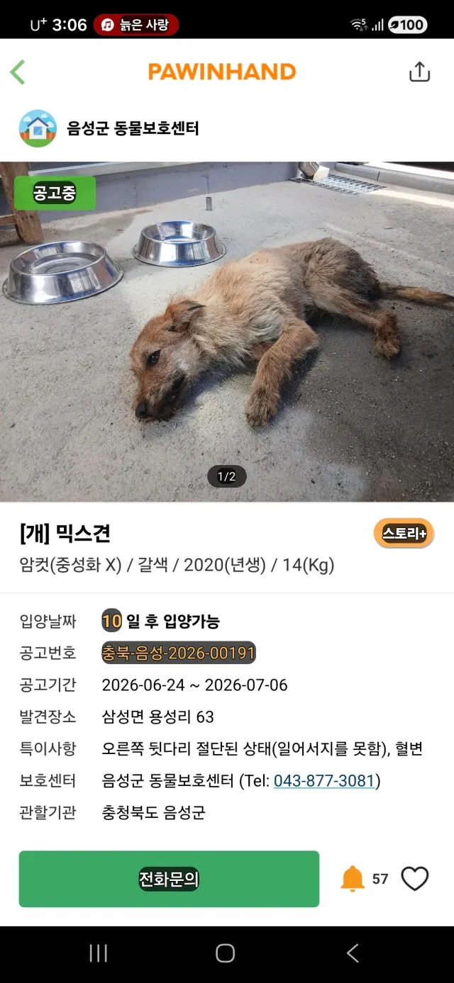 뒷다리절단인데 보호소 ㄷㄷ