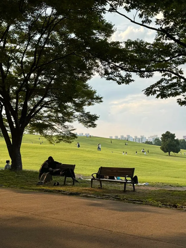 센트럴파크 보러 뉴욕까지 왜 갔는지 모르겠네 초여름의 올림픽공원이 있는데 🌳 https://t.co/75xKiuxzbK