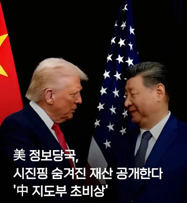 핑핑이 부터 조지는구나