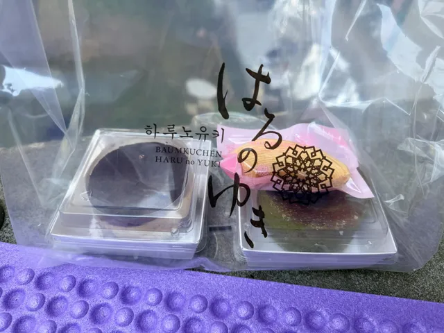 2-3뒤 올공 어학원 놀러오세요!! 
그늘도 있고 맛있는것도 드립니다 ㅎㅎ