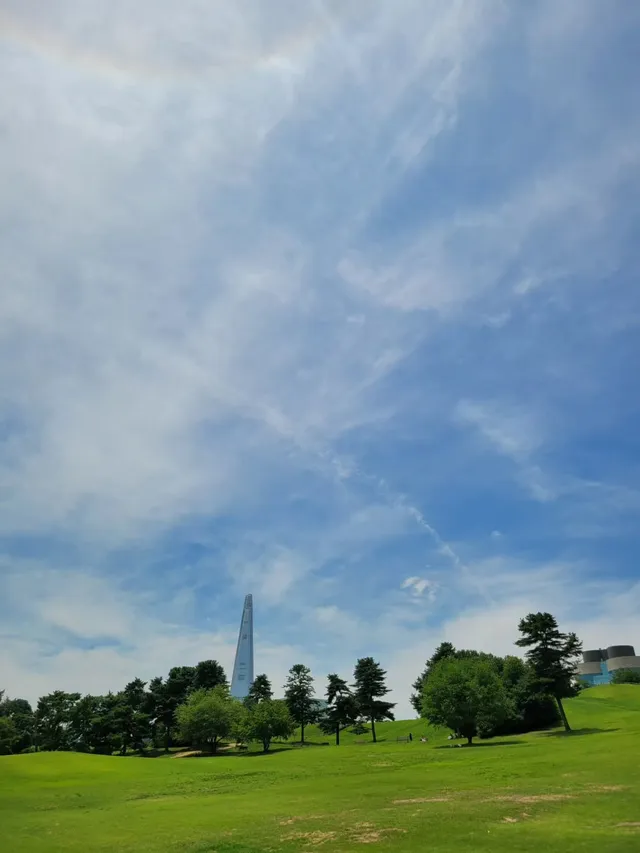 #올림픽공원#나홀로나무#공원나들이