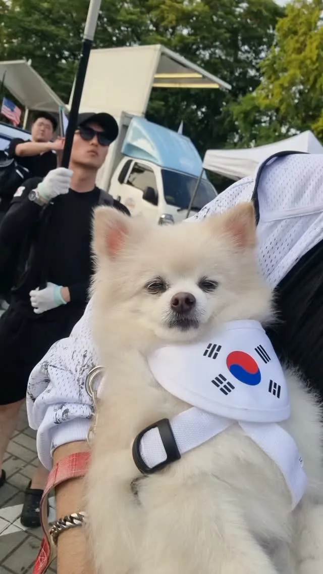 [실시간] 올림픽공원 18:50
해가 떨어지니깐 어제보다 바람이 시원하게 붑니다! ㅋㅋ 👍
17살 어르신은 벌써부터 피곤해하시네요 🐶❤️

