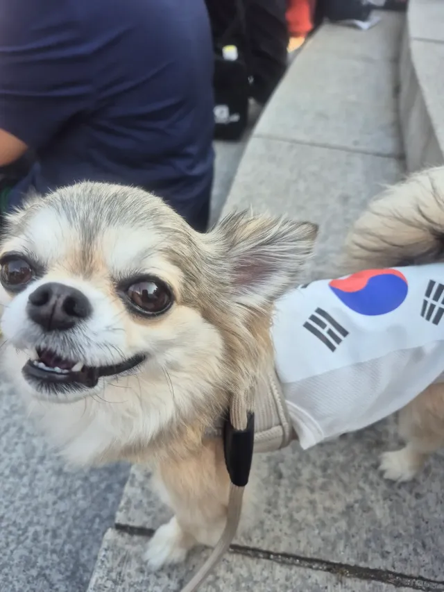 잘 지내고 있어 일열심히 하고 다음주에 또 올게.