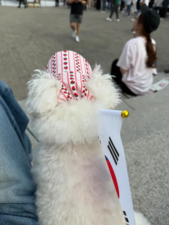 올공 또 다녀옴🇰🇷
거리가 멀지만 자꾸만 생각나서 어쩔 수 없었다 ㅋㅋㅋ
많은분들이 몽실이 이뻐해주셔서 너무 기분좋았는데
언니가 내향인이라 