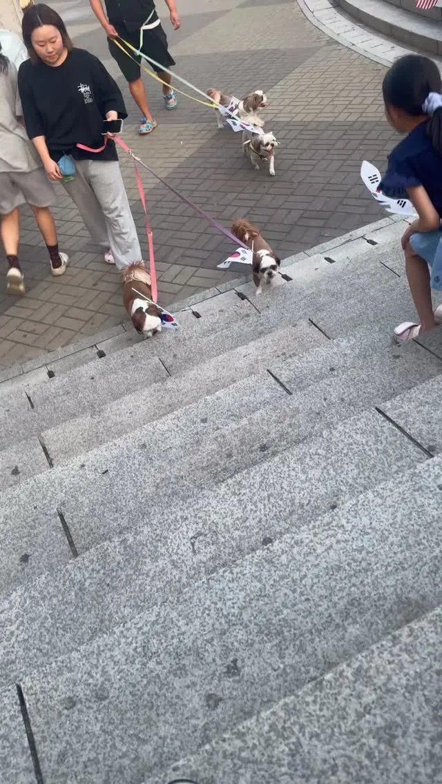 애국가나디들 
지나가실께욘🇰🇷🤍

진짜 너어어어어무 귀엽다 ㅠㅠㅠㅠ 
알고보니 등뒤에도 귀요미가 있었어 핡 🥺🤍