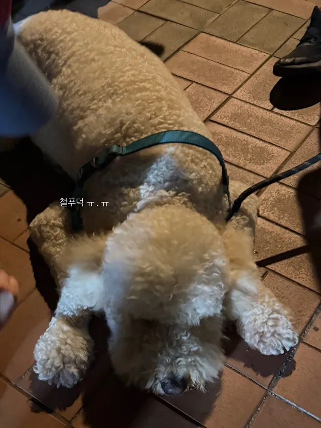 보라매 좋ㄷ ㅏ! 🩵💨🥶🏃‍♀️