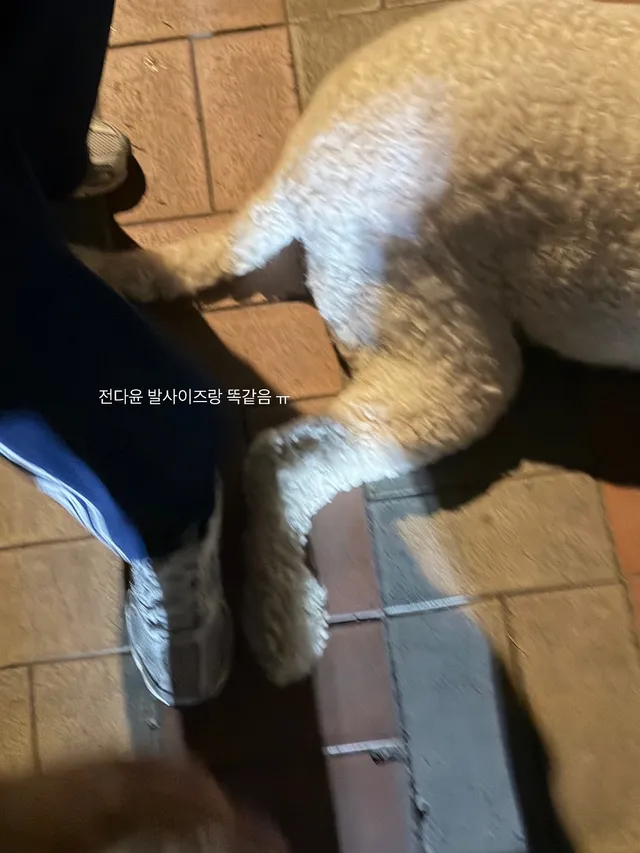 보라매 좋ㄷ ㅏ! 🩵💨🥶🏃‍♀️
