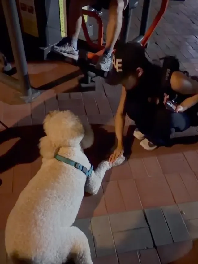 보라매 좋ㄷ ㅏ! 🩵💨🥶🏃‍♀️