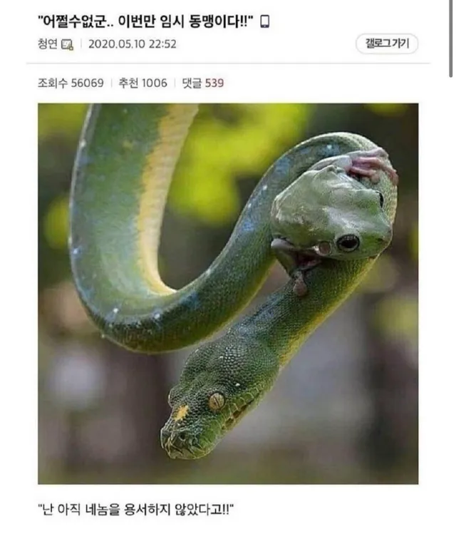 요즘 올공 상황보면 게이트마다 걍 삼국지 보는거 같음
결국 대의명분은 같지만 서로 정통성을 주장하고
자기네 색으로 이루려는거 아닐까 생각듦

결