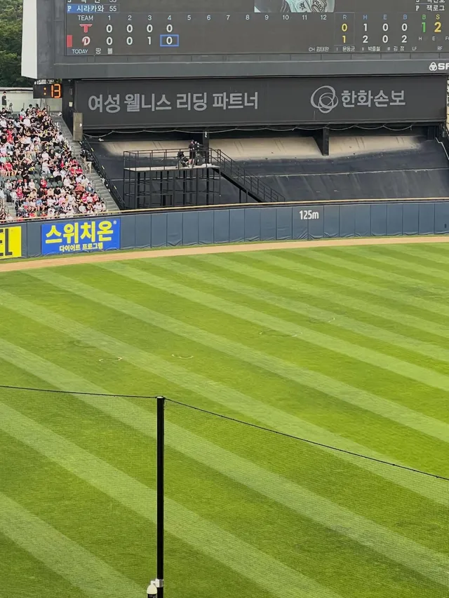 잠실 직관가서 볼 때 궁금했던거 있음
외야 잔디쪽에 중간중간 이렇게 땜빵처럼 생긴거 있던데 왜이런지 아시나유
