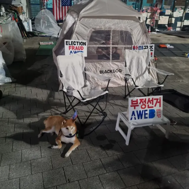 #올림픽공원핸드볼경기장 #부정선거 #재선거 #당일투표 #수개표