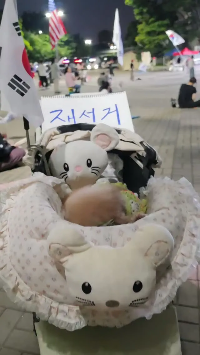 부정선거‼️ 재선거‼️ 당일투표‼️ 수개표‼️

점점 익숙해지는즁~

여유롭게 장난감도 갖고놀고 ㅎㅎ즐기는듯💕💕

그래~~ 피할수없으면 즐기