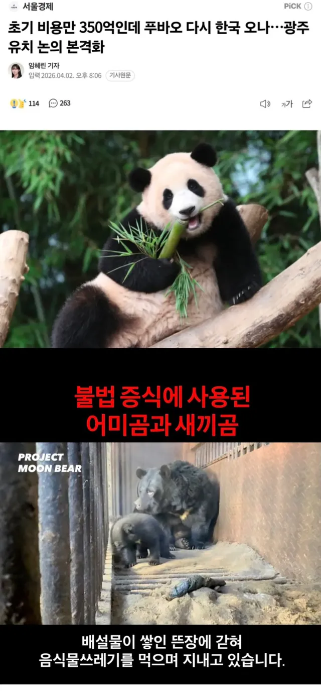 뭐가 중요한지 모르나 웅담 채취 사육곰 문제를 신경 써야지 나라가 빚밖에 없는데 그걸 푸바오 데려오는 데 쓰나?
당장 고통받고 있는 동물들을 구