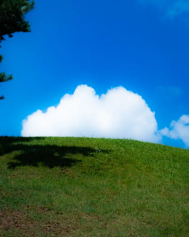 나의 올림픽 공원.