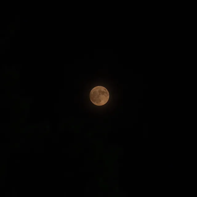 올림픽공원_26.06.29(월)
감사하게도 카풀해주신다고 연락해주신 분 덕에
늦은 밤에도 담을 수 있게 되었네요ㅎㅎ