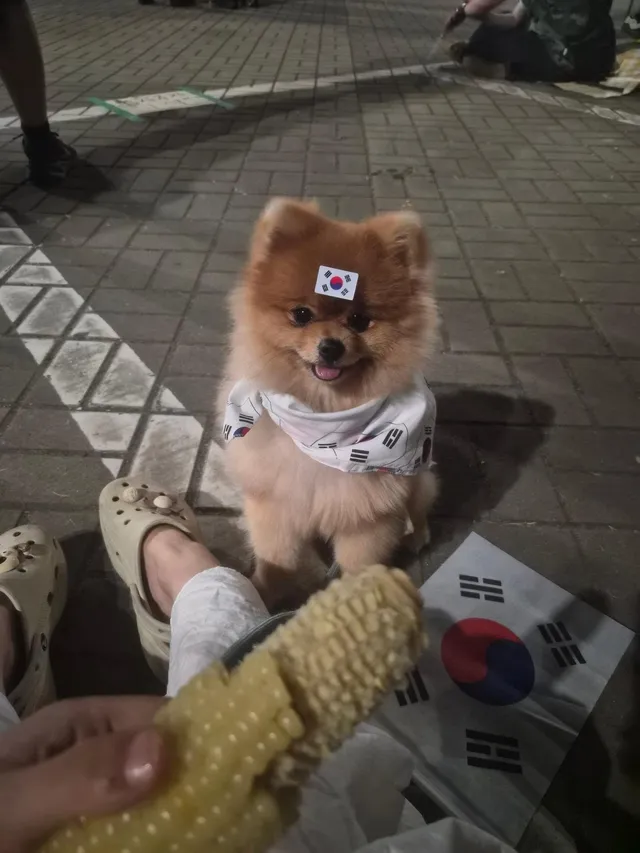 올림픽공원 6월 12일, 13일, 14일, 16일, 28일 참석.
처음엔 굳이? 싶었다.
내 시간과 체력을 들이는게 아까웠다.
하지만 여기 나오