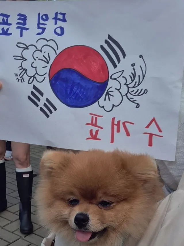 올림픽공원 6월 12일, 13일, 14일, 16일, 28일 참석.
처음엔 굳이? 싶었다.
내 시간과 체력을 들이는게 아까웠다.
하지만 여기 나오