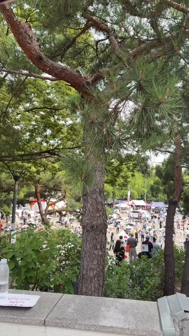 26.6.30 낮 🌞
내향인존 못가는 내향인 
부정선거 외치고 항상 올공 한비퀴 돌고 집감
나도 왜그러는지 모르겠는데 매번 여리고성 마냥 도는