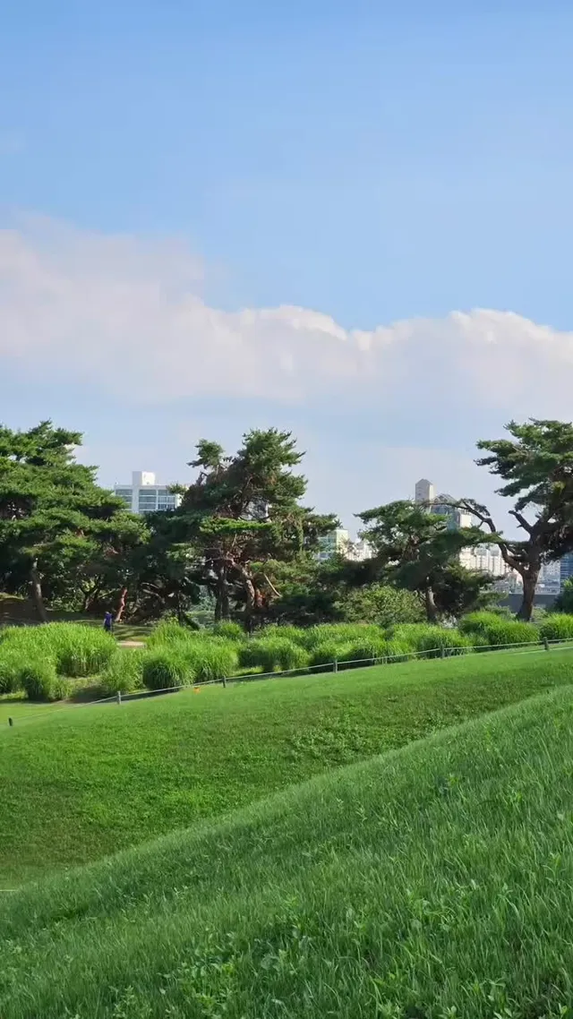 올림픽공원 OlympicPark #Korea #KoreaSummer #KoreaPark 롯데월드타워 LotteWorldTower