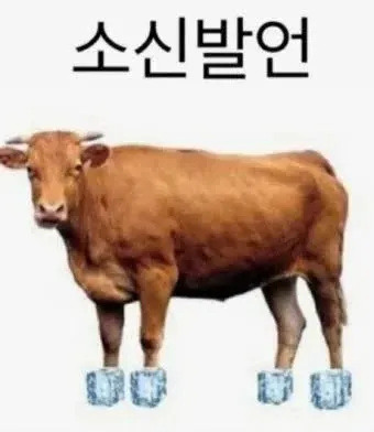 몫 내놓고 하는 소신 발언

ㅈ의당 개혁신당 조국없당 더불어만진당 - 극좌
느그의힘 - 좌파
분탕 제외 순수 올공 국민들, 자혁 - 우파
나 -