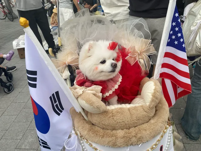 전국에 극우 폭도들이 
이렇게 많은줄 몰랐음.

나라 망하기 직전이네;;