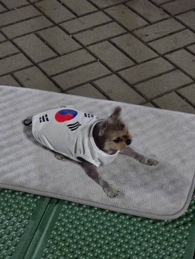 엄마는 열심히 부정선거 재선거, 귀욤이는 편하게~♡