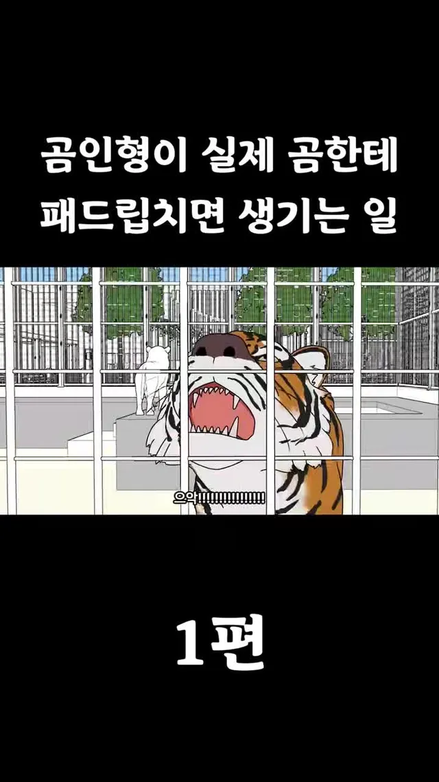 [풋군] 반달곰: 곰인형한테 패드립 당했습니다...  #애니메이션 #코미디 #웃긴 #툰 #병맛 