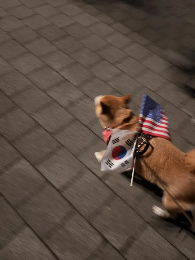 부정선거 재선거 
당일투표 수개표
부정선거 A-web 한미공조 국제수사 ​ 🇰🇷🇺🇸