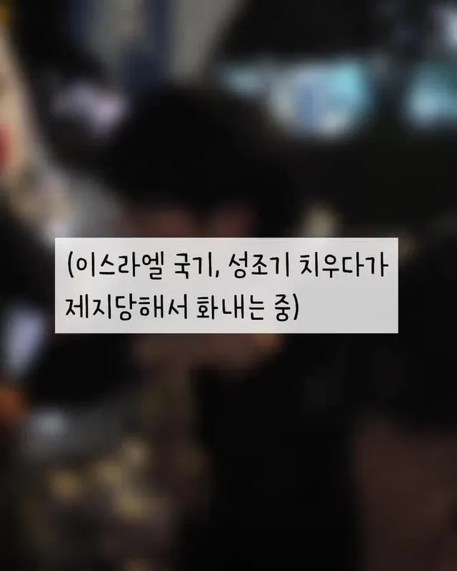 (시민분이 꽂아 놓은 태극기·성조기·이스라엘 국기를 뽑으려다 제지당한 상황입니다.)

혹시 자원봉사자에게 국기를 치울 의무가 있나요?
또는 이스