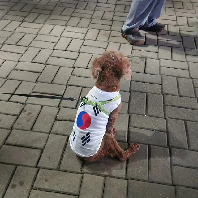 #올공#멸공#멸공강아지#멸공댕댕이
#올림픽공원