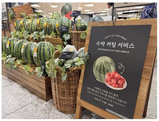 야구장 가기 전에 잠실 롯백에서 수박사고싶은데 
부피 커서 입장 거부 당하나요...?
해보신분 계신가요 👀
