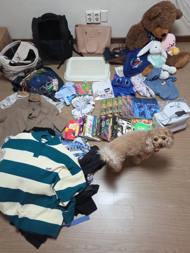 열어분 드릴 말씀이 있숩니다....
내일 7월 2일에 올공에서 (구체적 장소 미정) 
제 개인적 물건 무나하려구 합니다...
(재능이 없어서 물