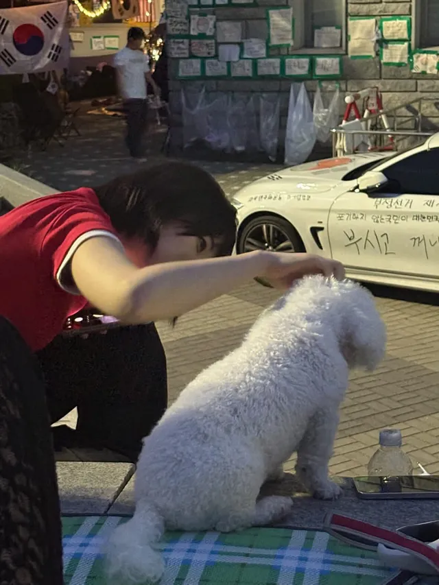 올공 애국댕댕이들은 너무너무 귀여워..🤍
