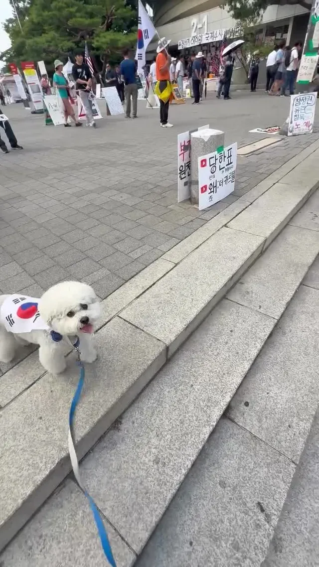 현재시각 오후 4:30 올공 순찰중 오늘도 애국지 횽아 누나 이모 삼촌 할모니 할아버지 감사합니다 🇰🇷🫡👍