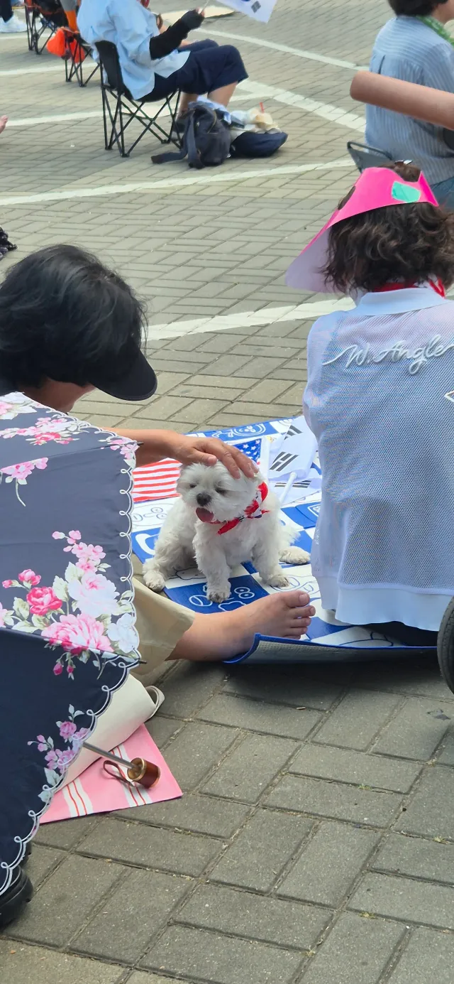 어머니 손길에 찌부되는중.....
거친 손길.....
ㅋㅋㅋㅋㅋㅋㅋㅋㅋㅋㅋㅋㅋㅋㅋㅋㅋㅋㅋㅋ