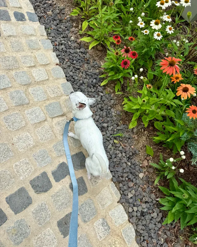 22/6/26 평일 잠실은 정말 사랑🖍️💛🧃