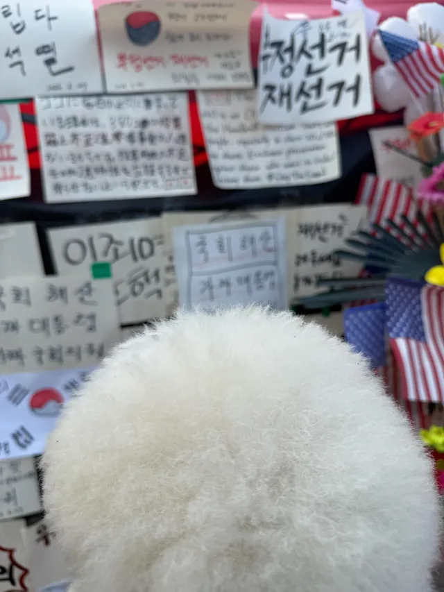 나 애국가나디 솜뭉치 진지한 뒤통수 보이지🔥
한장한장 애국자들의 메세지 꼼꼼히 다 읽어봤어🐶🇰🇷 
지치지말자 🇰🇷🇺🇸🙏👍🔥�