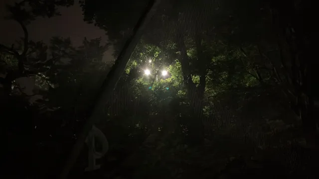 구호 외치다 목아파서 내향인존 입주함.

너무 조용해.. 심ㅅ....

새벽에 다시 나가서 구호 외치고 와야지^^