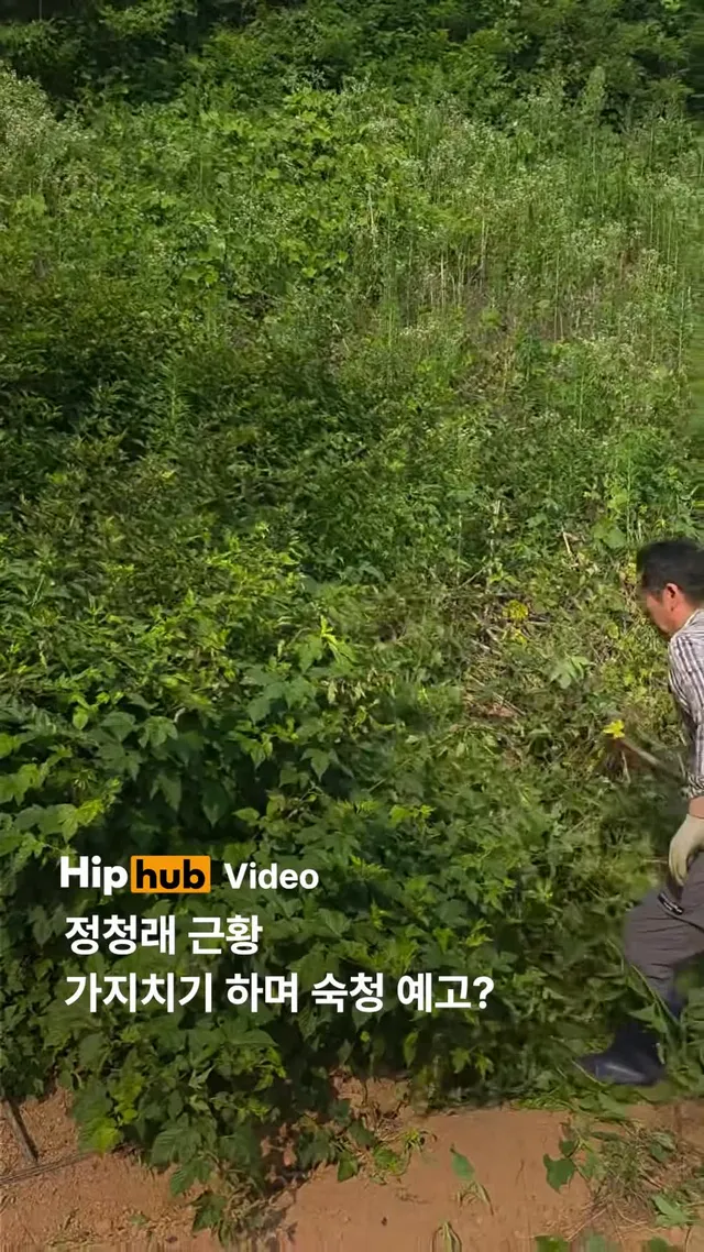 정청래 근황, 가지치기 하며 숙청 예고? 정청래가 올리는 모든 것은 의미를 담고 있다 ㅎㅎㅎ