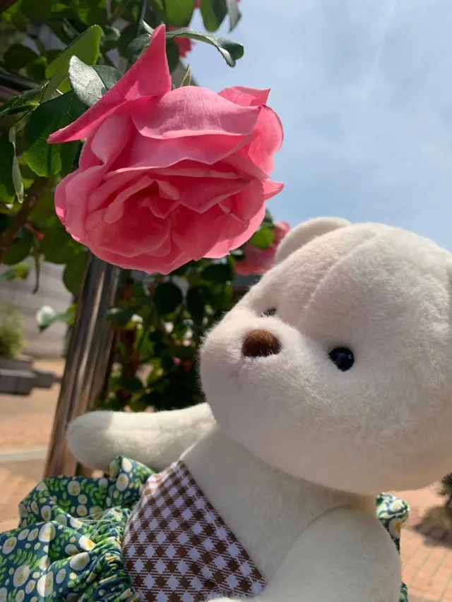 안녕! 나 밀크야 🐻🤍

오늘은 엄마랑 올림픽공원으로 산책 나왔어 🌿

내 옷 예쁘지? 🤭
산책도 하고 사진도 찍고
기분 좋은 하루를 보