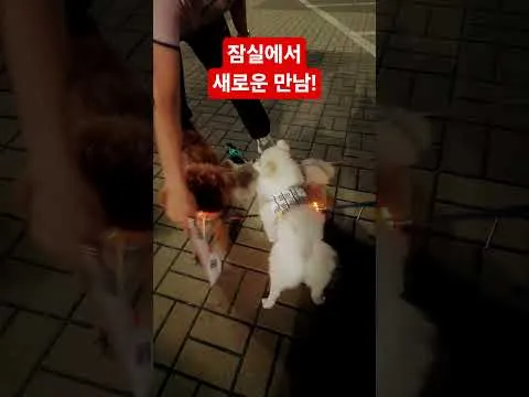 잠실에서 새로운 만남!