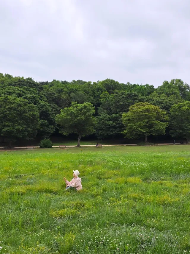 🌳🌳🌳

26년5월27일

#올림픽공원 
#나홀로나무
 

울적하고 
답답할땐

산 ⛰️ 대신
올림픽공원이 있어 
다행이다♡

막  걸어도